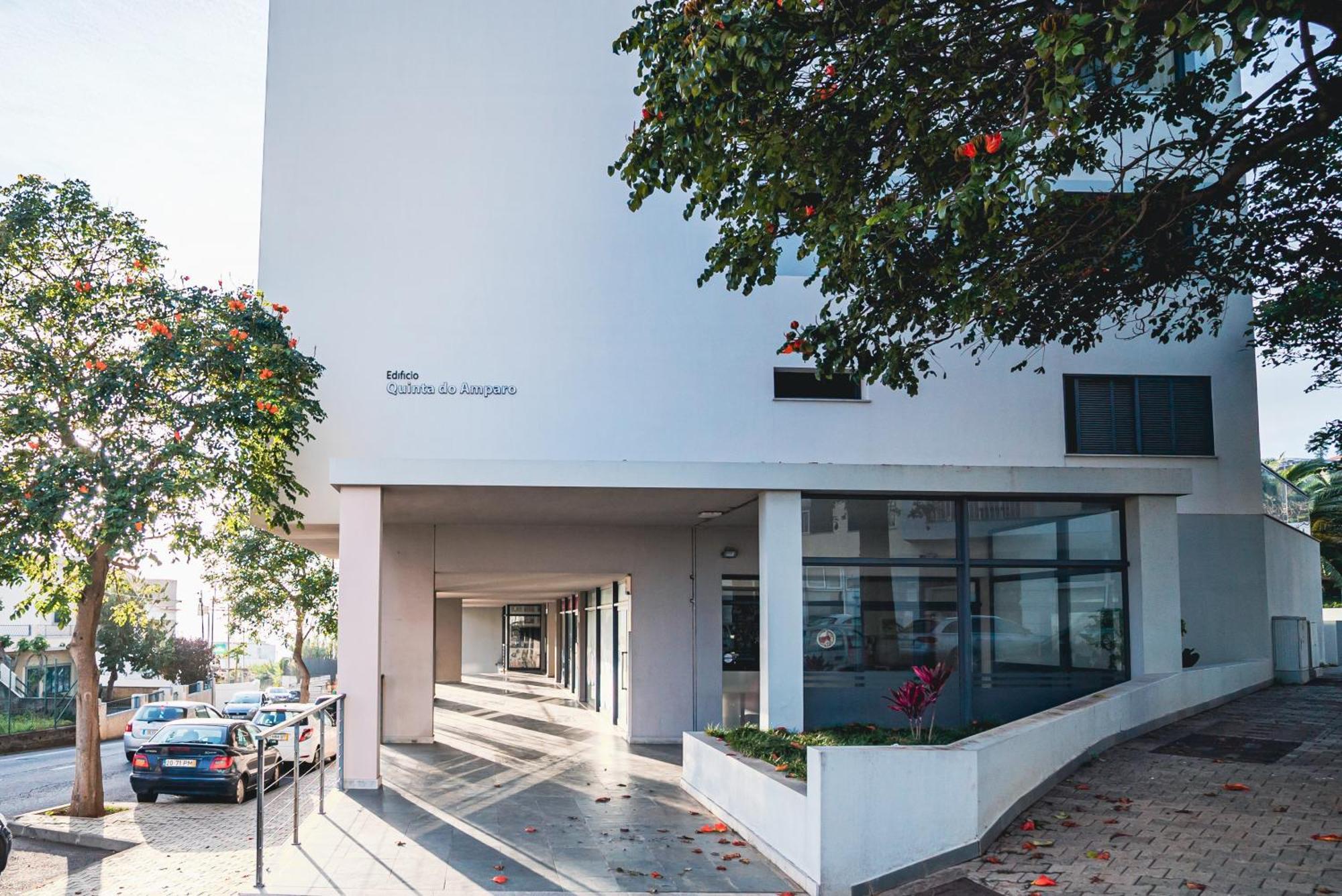 Madeira Luxury Amparo Apartment フンシャル エクステリア 写真